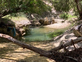 108 Oak Road Fredericksburg, TX 78624 - Photo 8 of 14 a view of a tree next to a yard