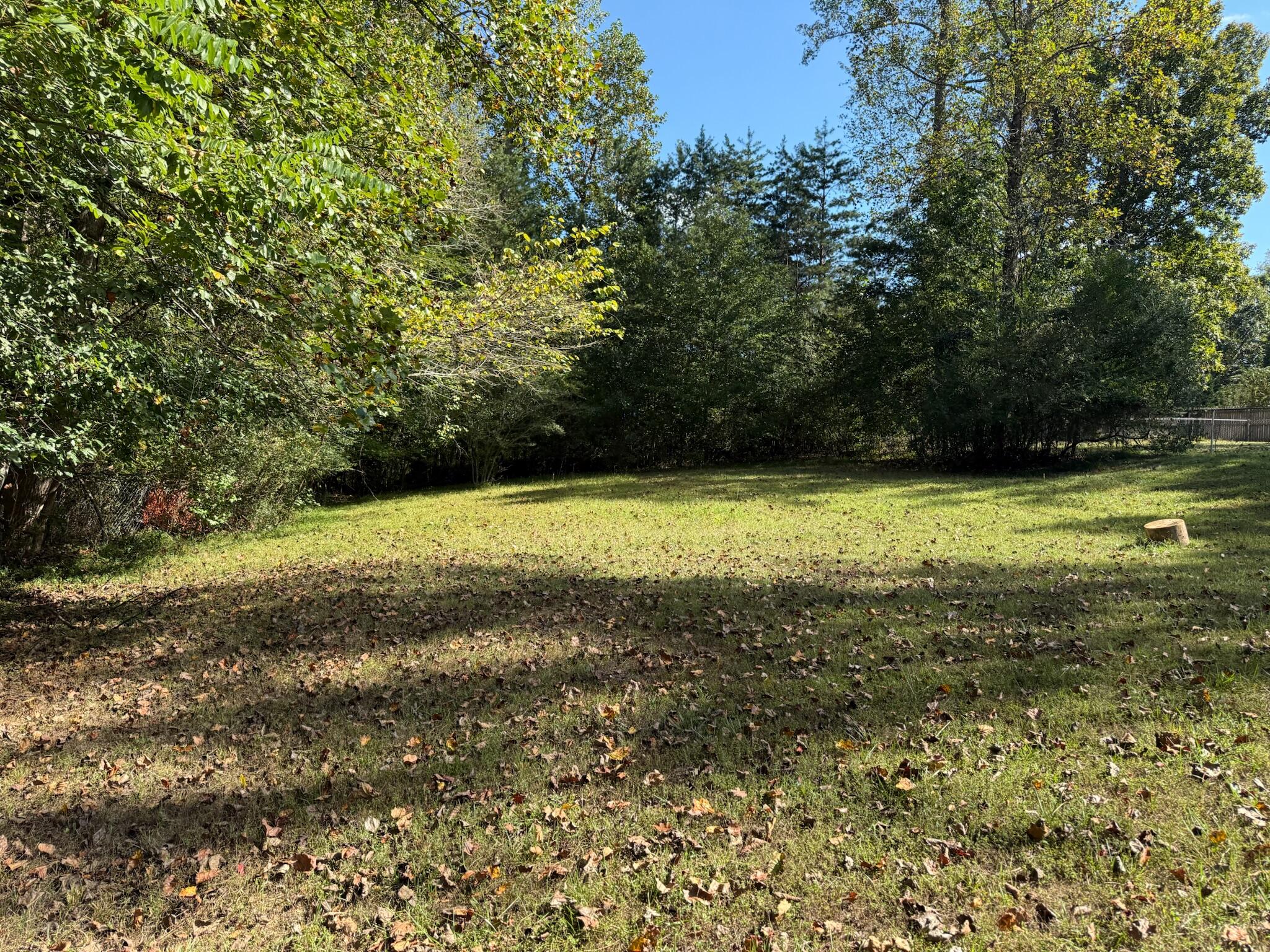 4988 Saginaw Road Ooltewah, TN 37363 - Photo 41 of 46 IMG_2900