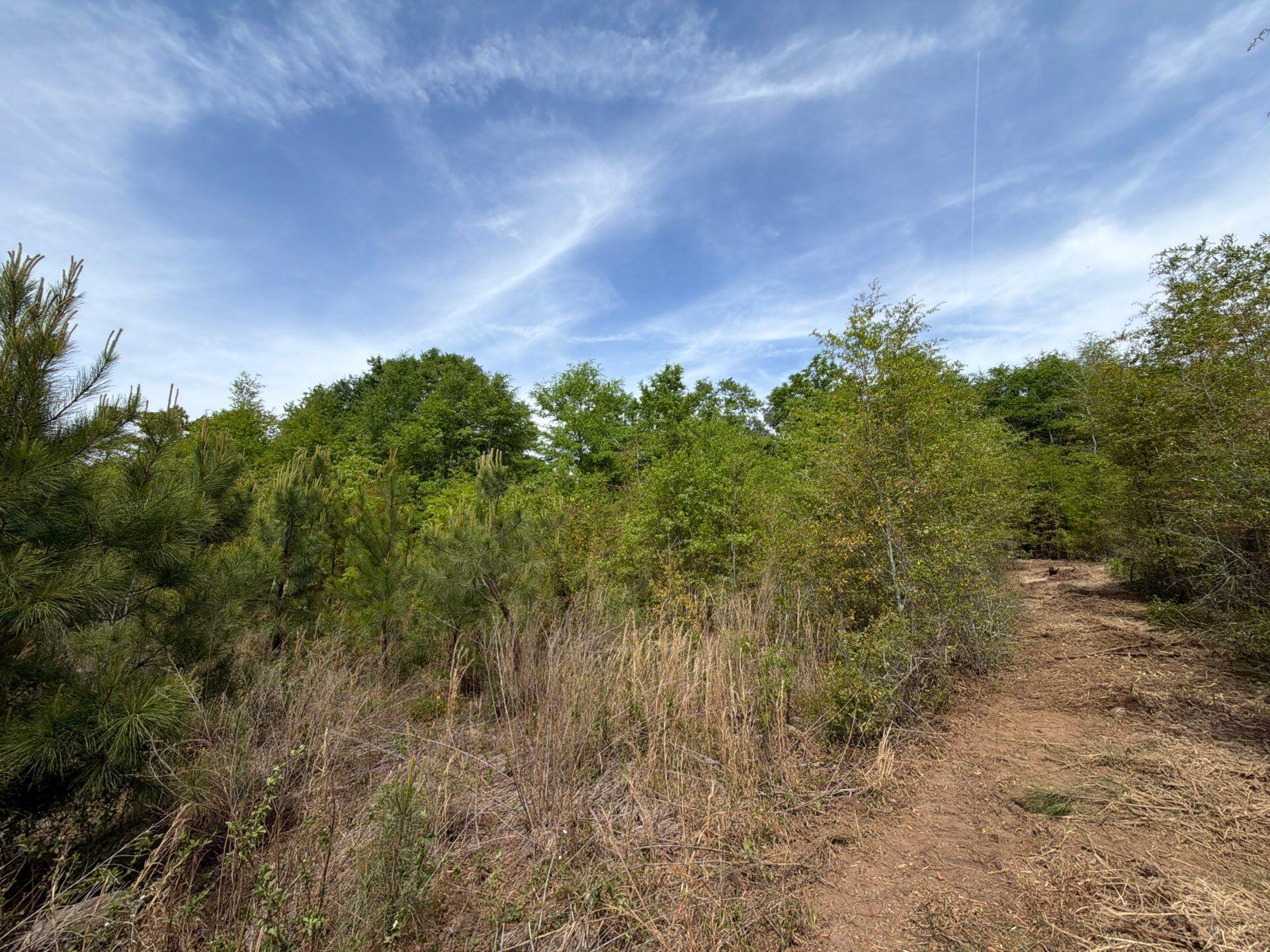 6 Rogers Cemetery Road, Unit RRF 6 Salley, SC 29137 - Photo 8 of 19