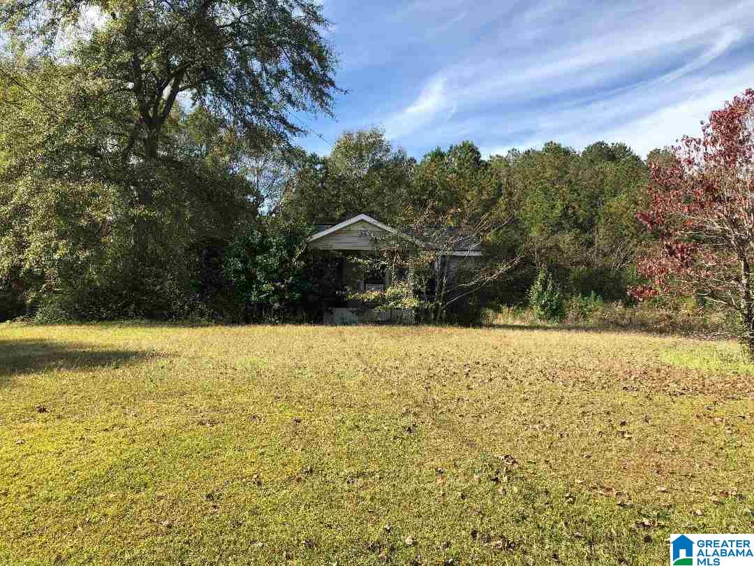980 Turner Road, Unit ADJOINING PARCELS Anniston, AL 36201 - Photo 4 of 17