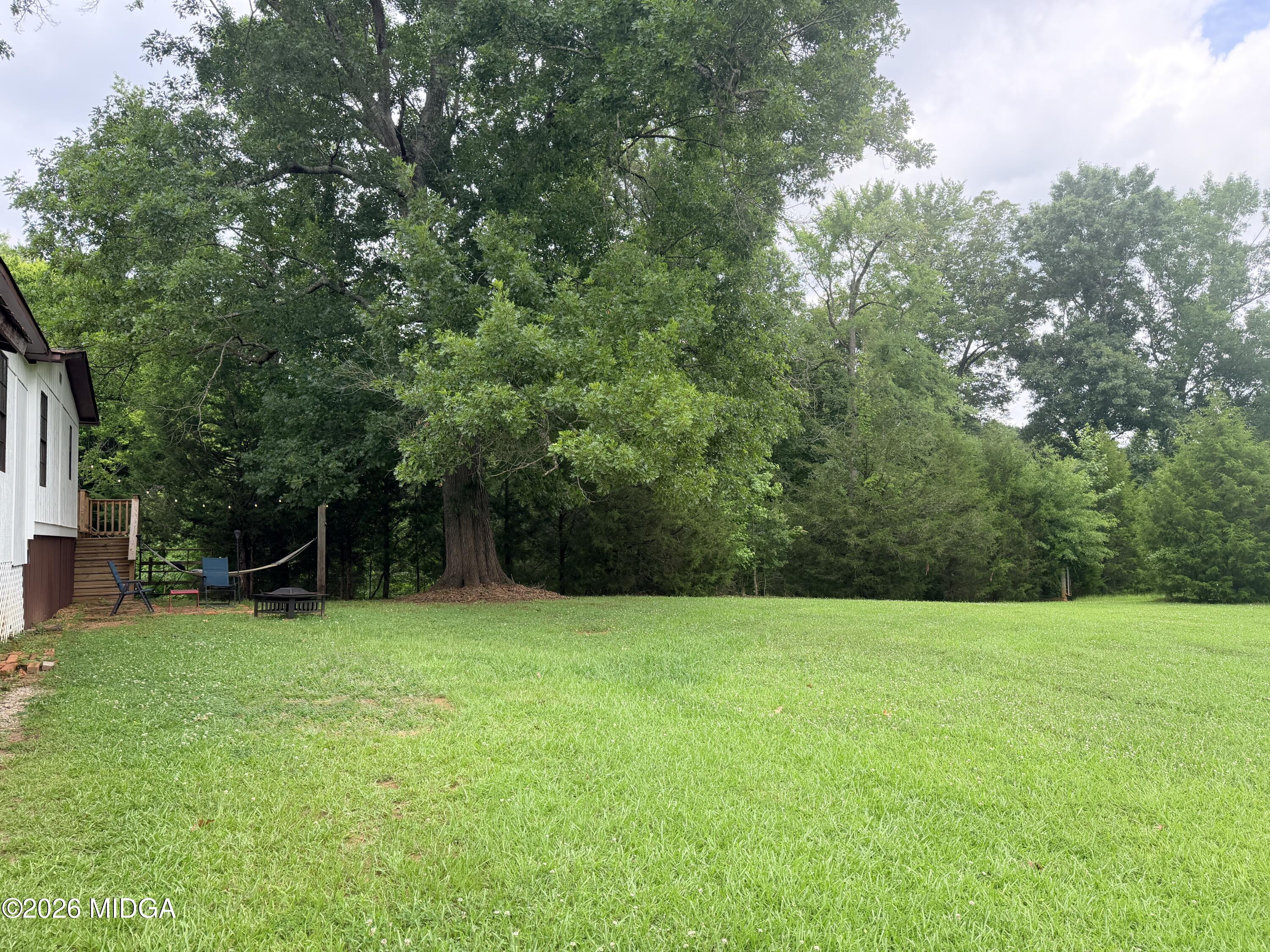 11190 Treadwell Road Forsyth, GA 31029 - Photo 21 of 30 Yard behind carport