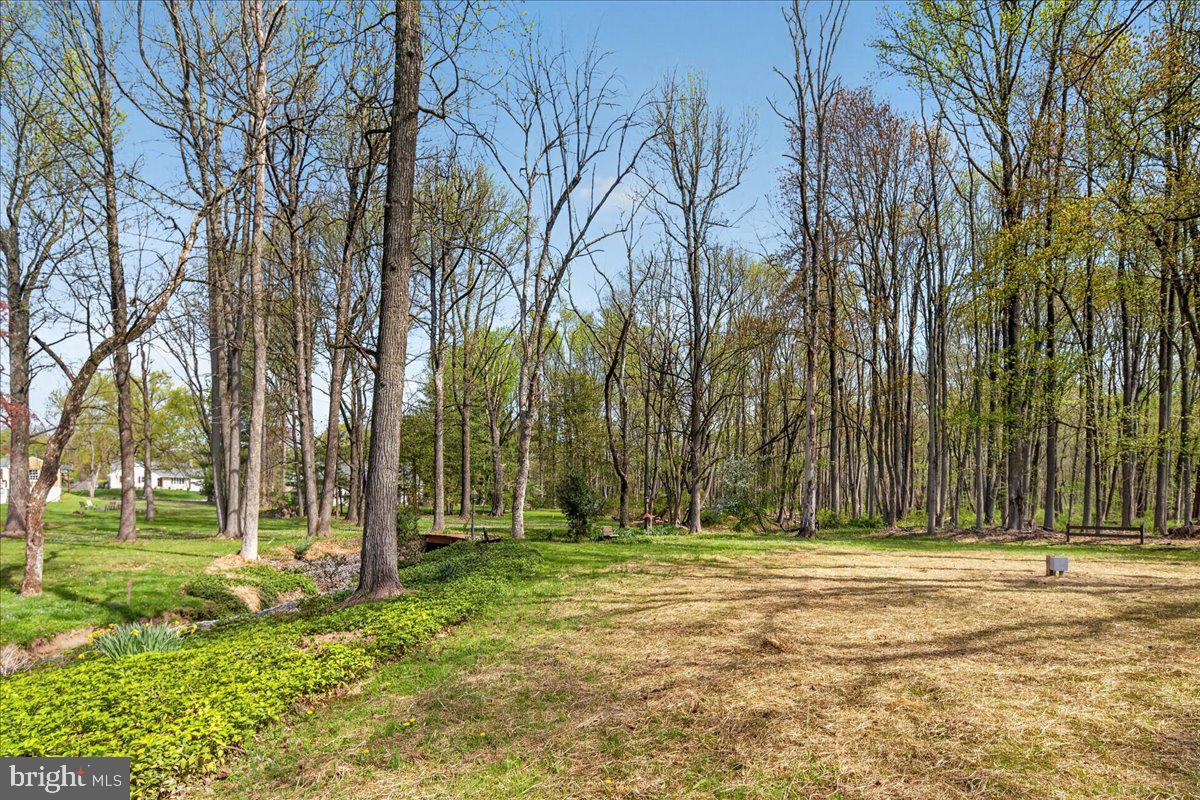 159 Bull Run Road Pennington, NJ 08534 - Photo 46 of 54