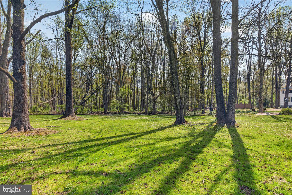 159 Bull Run Road Pennington, NJ 08534 - Photo 50 of 54