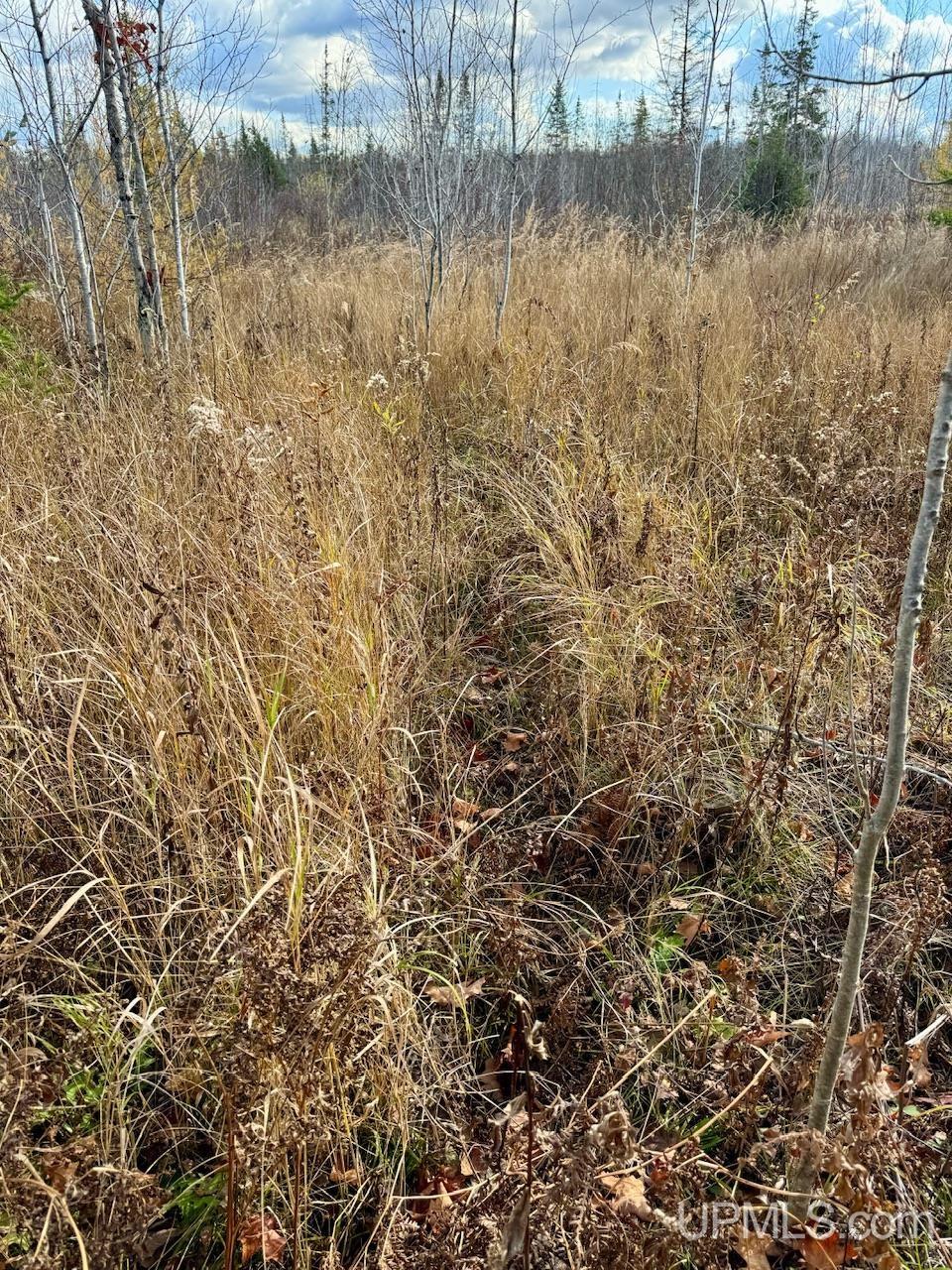 27.5 Rd 28 Acres Trail Gladstone, MI 49837 - Photo 21 of 24