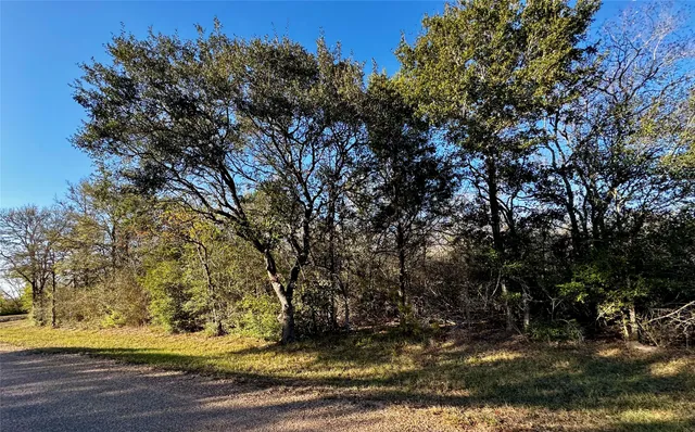 a view of a yard with large trees
