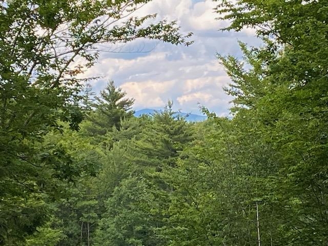 132 Newell Road Newbury, NH 03255 - Photo 2 of 42