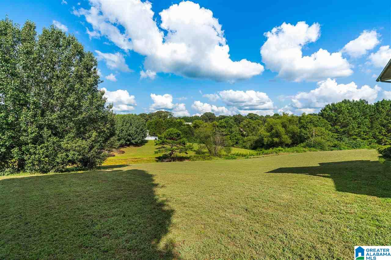 9334 Angel View Lane Kimberly, AL 35091 - Photo 25 of 25