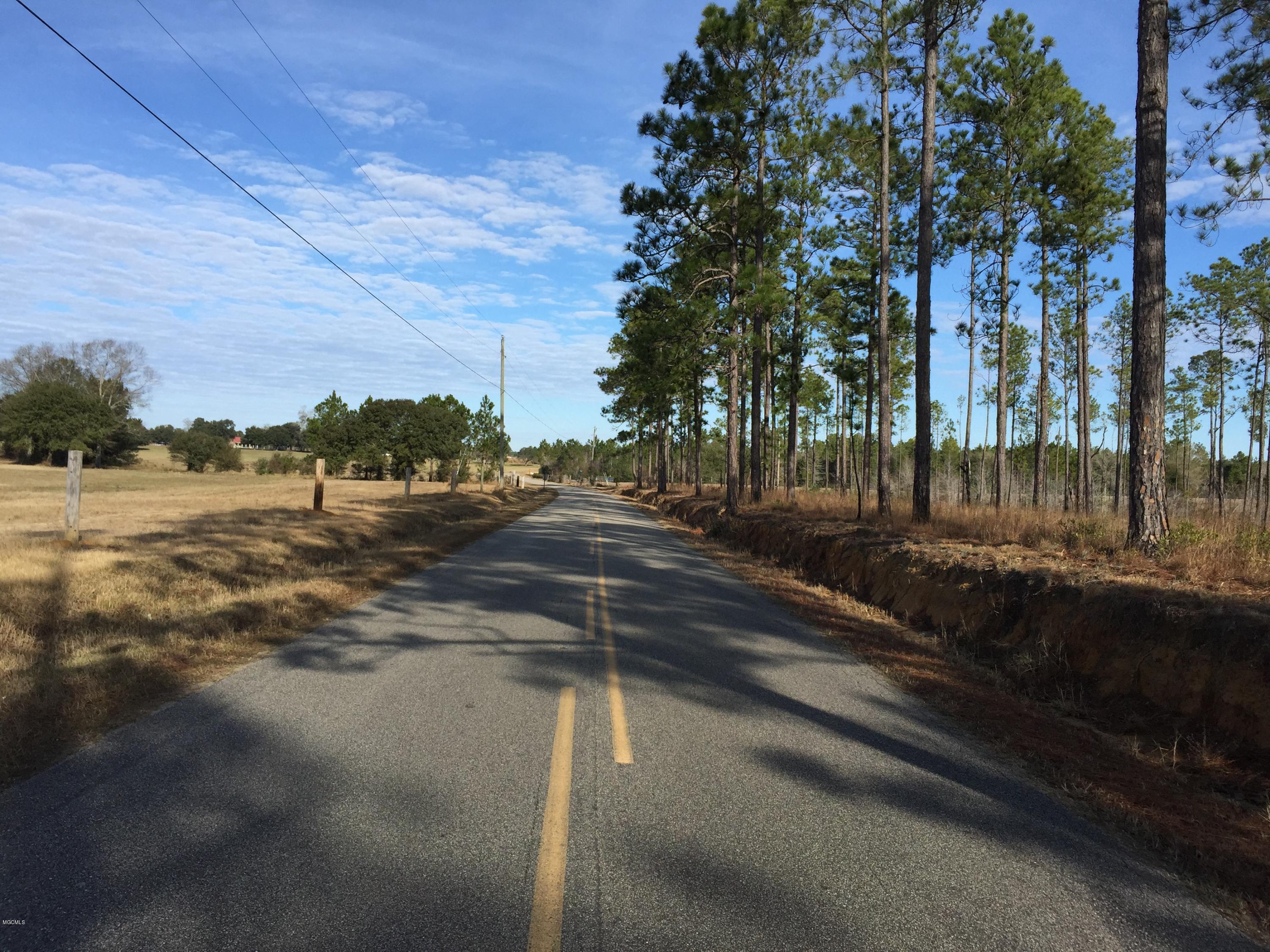 357 Road 357 Kiln, MS 39556 - Photo 3 of 4 IMG_1072