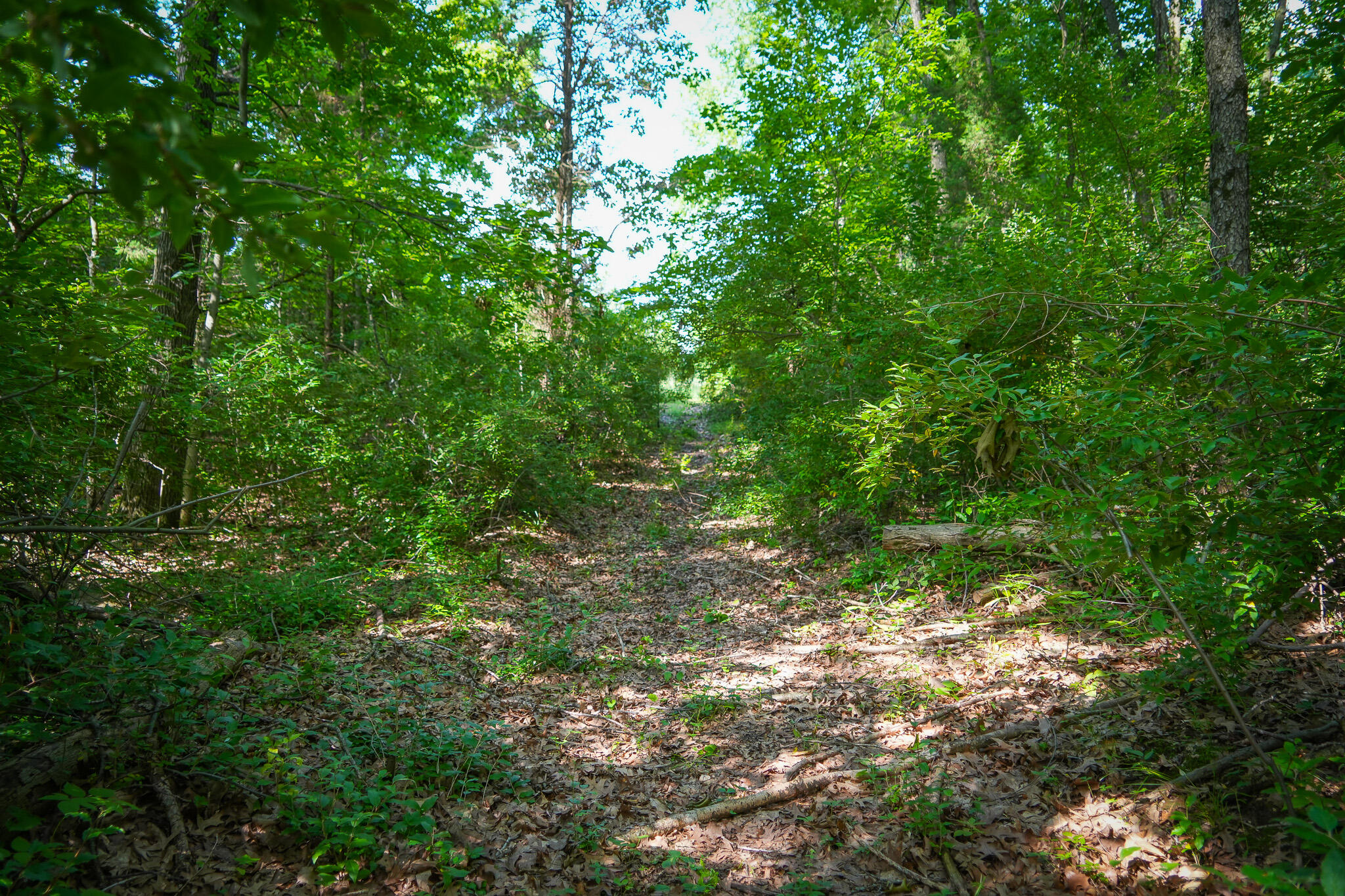 5100 Long Lake Road Reading, MI 49274 - Photo 28 of 63 DSC00693