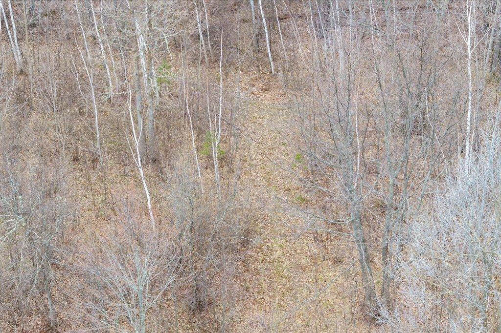 Tbd Tbd Kestrel Trail Northwest Hackensack, MN 56452 - Photo 11 of 21