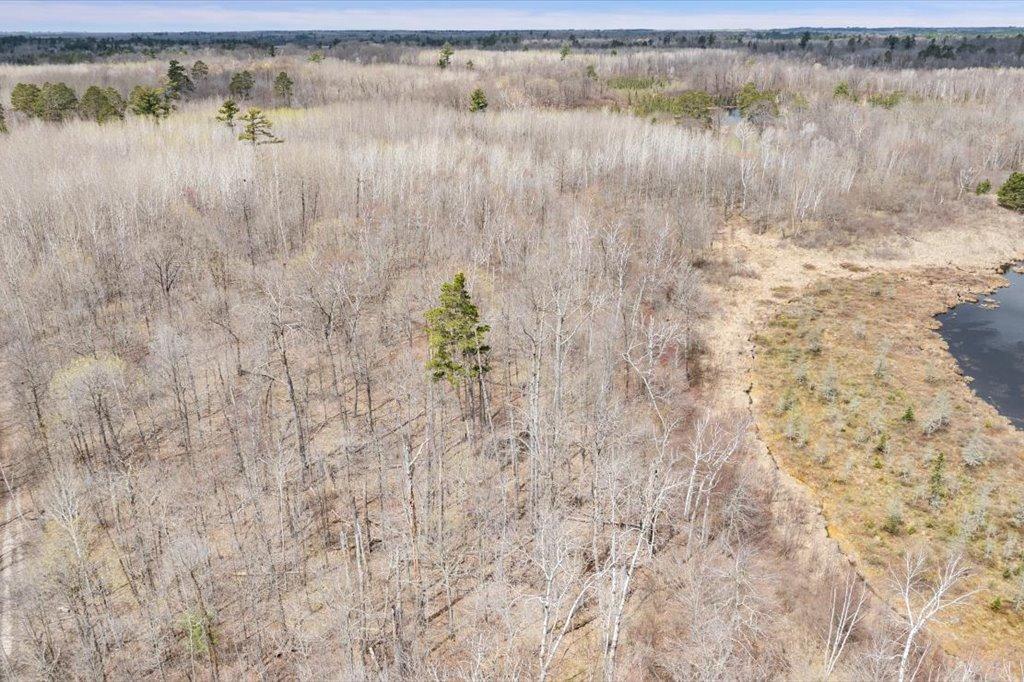 Tbd Tbd Kestrel Trail Northwest Hackensack, MN 56452 - Photo 8 of 21