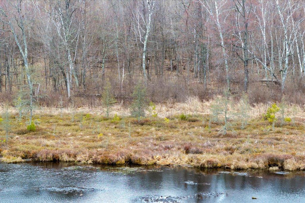 Tbd Tbd Kestrel Trail Northwest Hackensack, MN 56452 - Photo 9 of 21