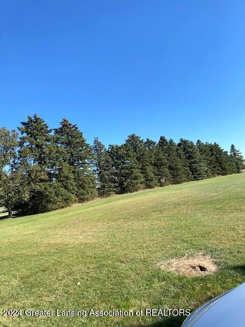 1810 South Dewitt Road St. Johns, MI 48879 - Photo 63 of 64 IMG_6258 (002)