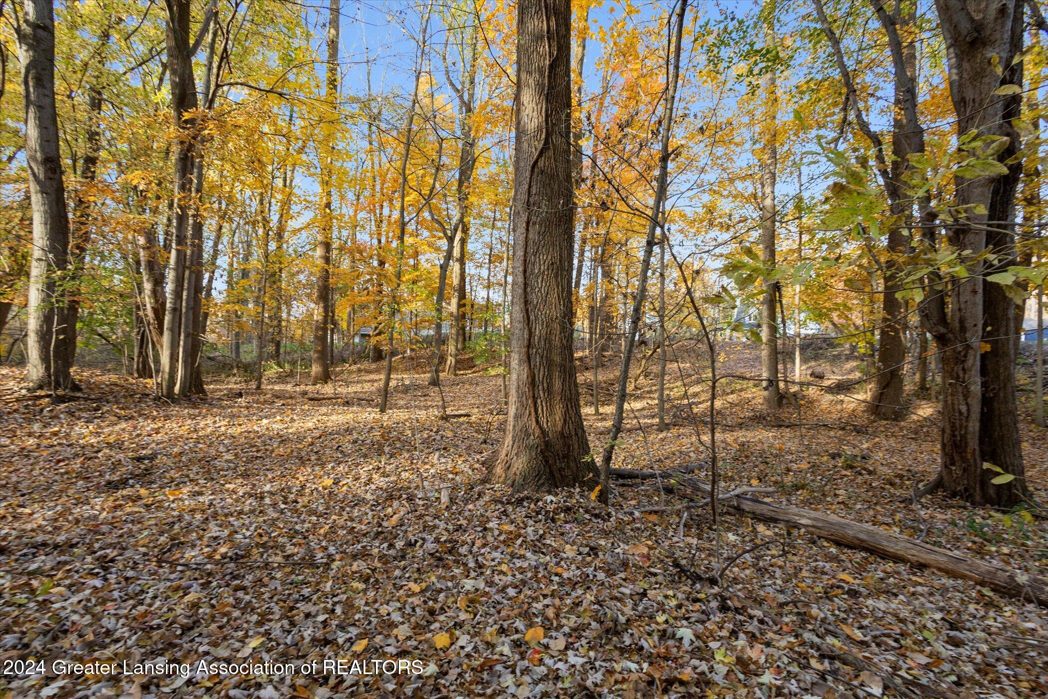 0 Williamsburg Road Lansing, MI 48917 - Photo 13 of 34 11-0-Williamsburg-Rd-Lansing-MI-48917-Wi