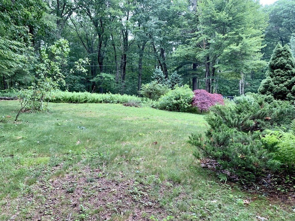 40 Prospect Street Rutland, MA 01543 - Photo 29 of 33 a view of a garden with plants