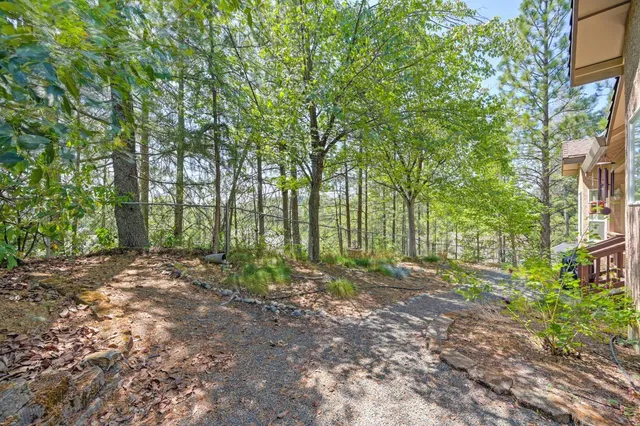 a view of outdoor space and trees