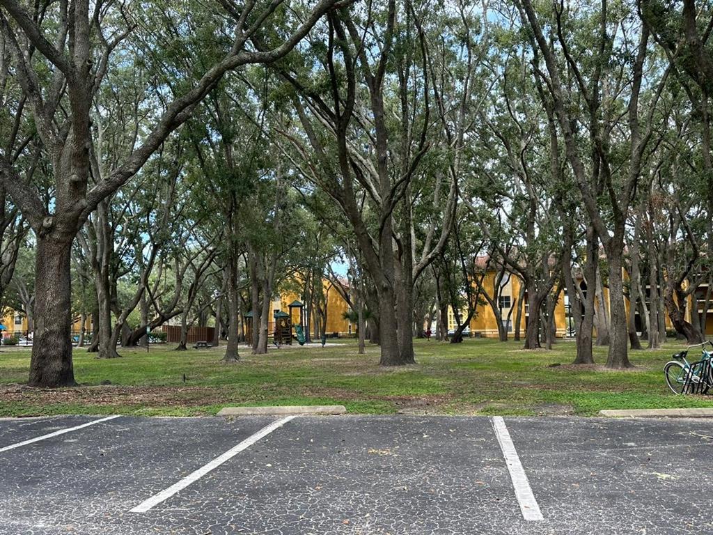 5291 Images Circle, Unit 207 Kissimmee, FL 34746 - Photo 22 of 24