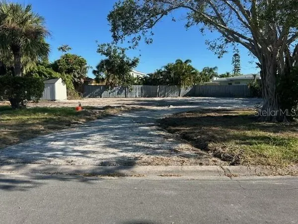 a view of a yard with plants and trees