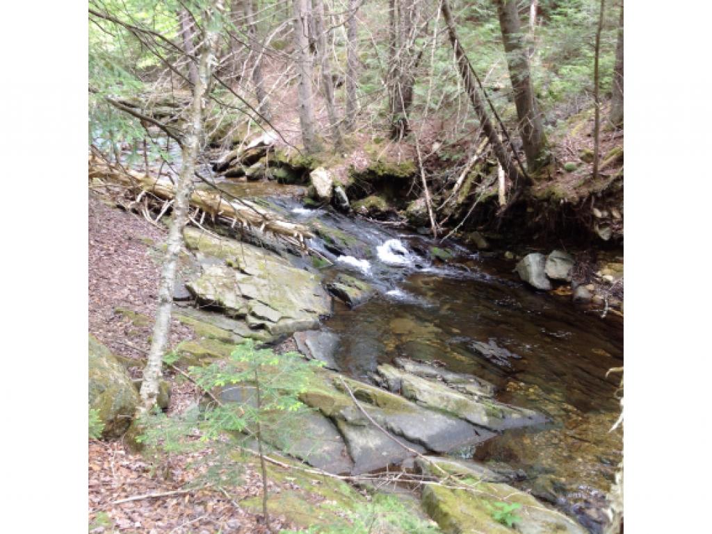 0 Route 100 & Cider Mill Road Weston, VT 05161 - Photo 2 of 9