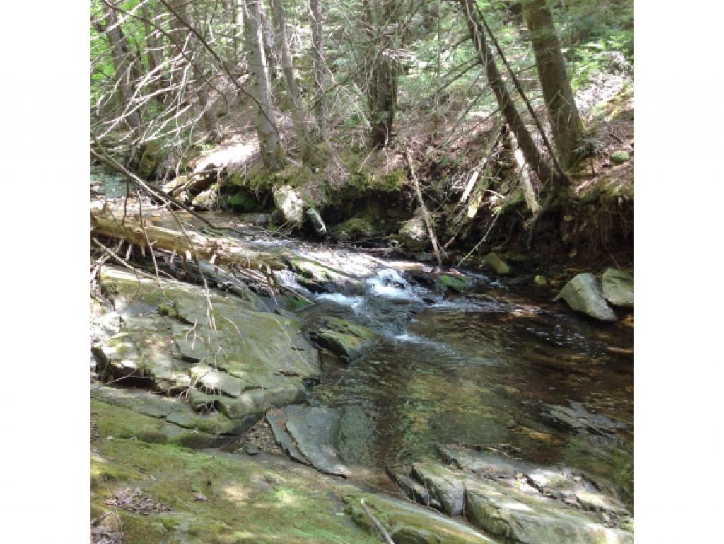0 Route 100 & Cider Mill Road Weston, VT 05161 - Photo 3 of 9