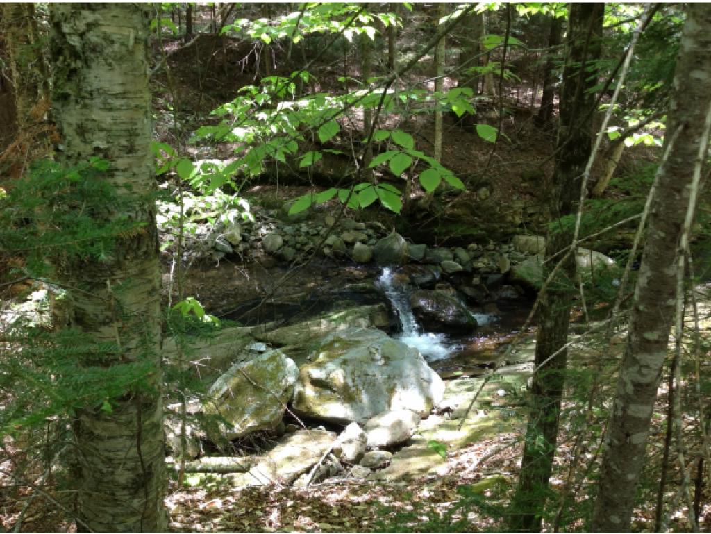 0 Route 100 & Cider Mill Road Weston, VT 05161 - Photo 5 of 9