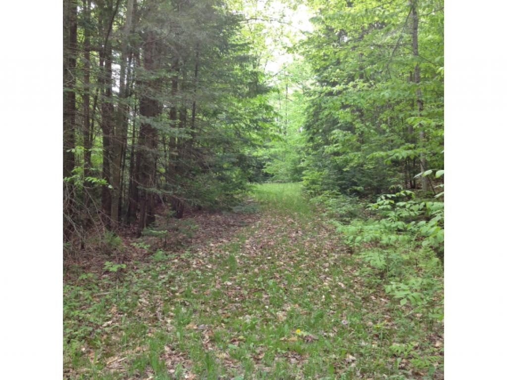 0 Route 100 & Cider Mill Road Weston, VT 05161 - Photo 8 of 9