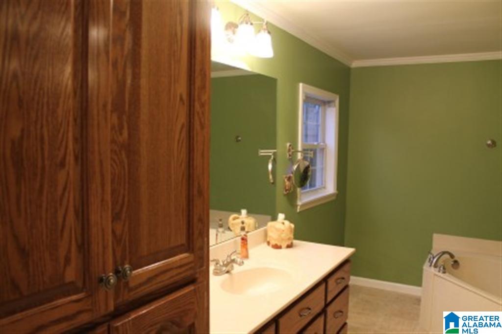 311 Jones Village Road Springville, AL 35146 - Photo 17 of 24