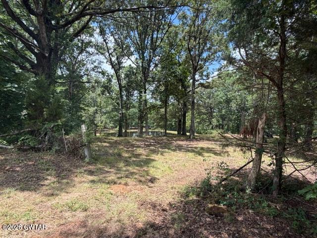 0 McBride Cemetery Road Sardis, TN 38371 - Photo 2 of 54 thumbnail (2)