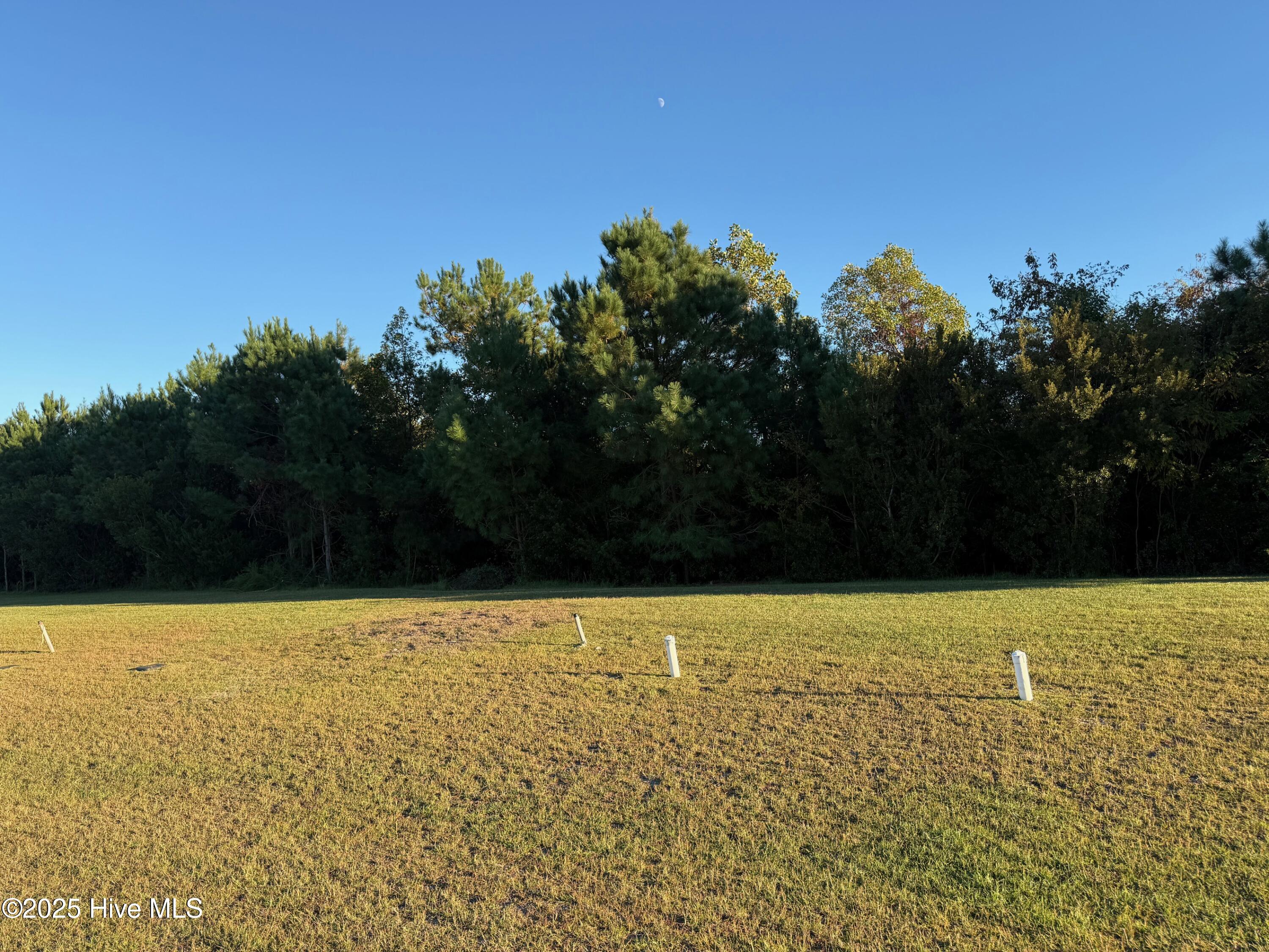 157 Whispering Pine Lane Holly Ridge, NC 28445 - Photo 1 of 7 IMG_1375