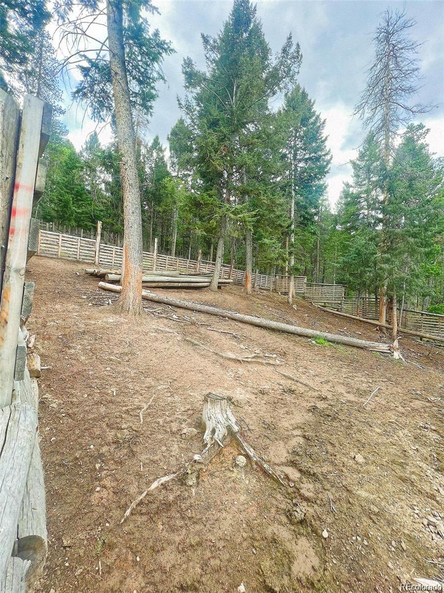 19424 Silver Ranch Road Conifer, CO 80433 - Photo 14 of 17 a backyard of a house with lots of green space and plants