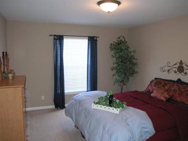 722 Copperpoint Drive Dunlap, IL 61525 - Photo 9 of 9 Gallery Image 9