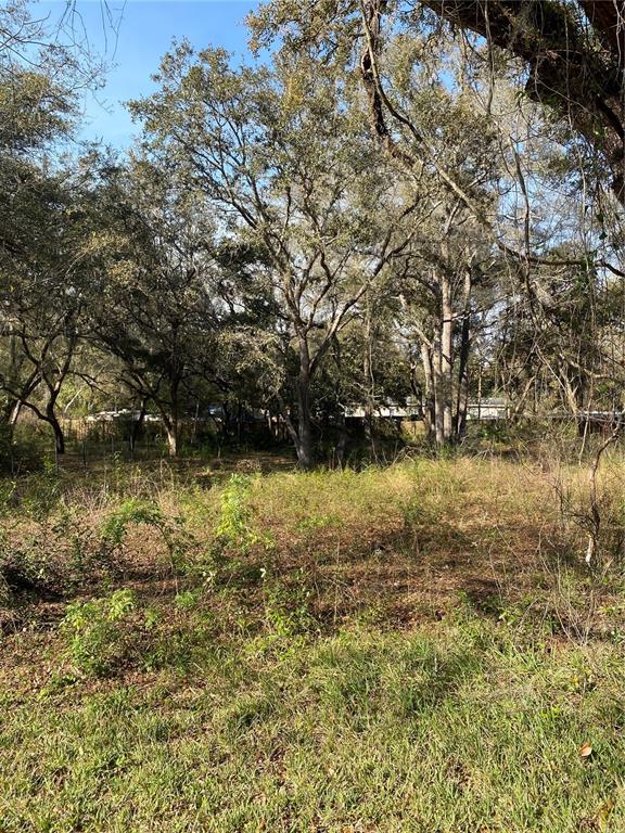 Undisclosed Address Bushnell, FL 33513 - Photo 2 of 4 a view of lake view