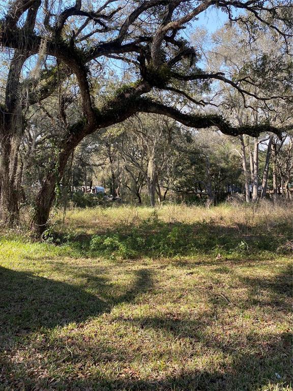 Undisclosed Address Bushnell, FL 33513 - Photo 4 of 4