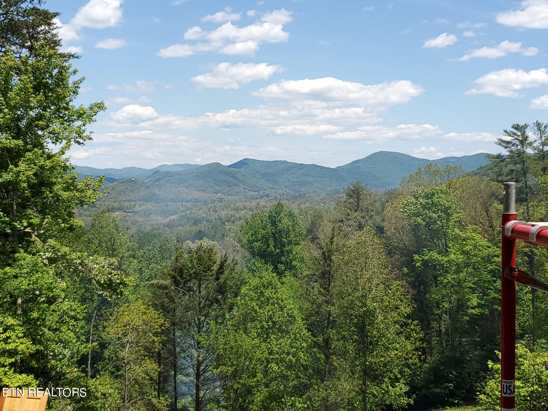 Old Cades Cove Road Townsend, TN 37882 - Photo 2 of 3 -9118065525867730995