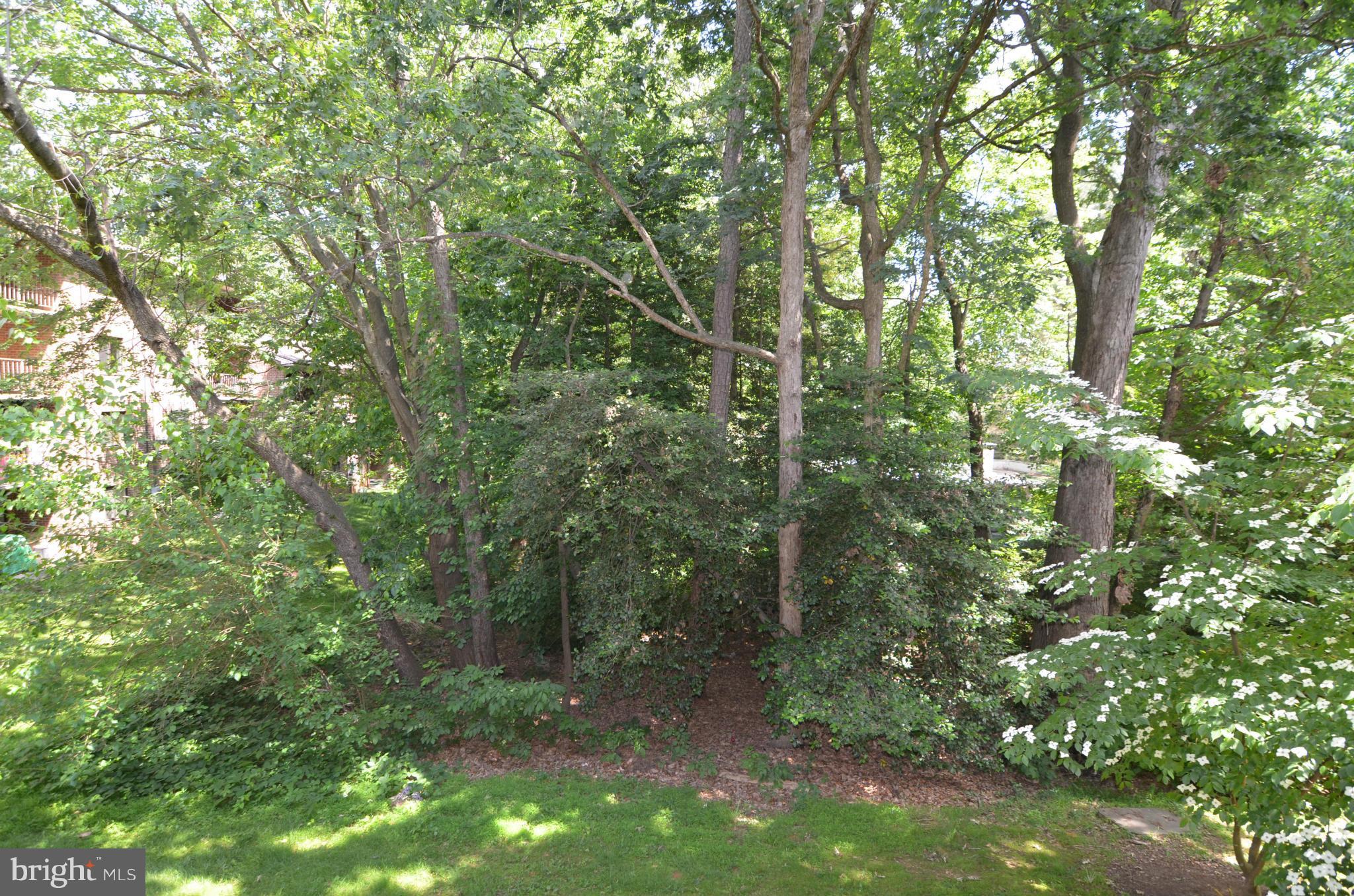 1403 Northgate Square, Unit 11B Reston, VA 20190 - Photo 13 of 28 Exterior (Rear)