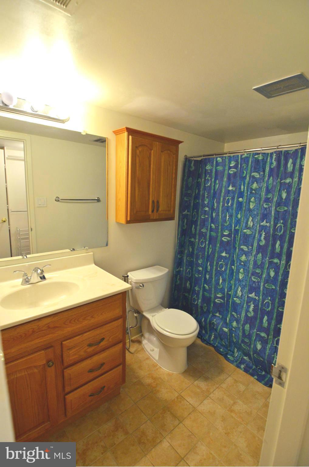 1403 Northgate Square, Unit 11B Reston, VA 20190 - Photo 9 of 28 Bath (Master)