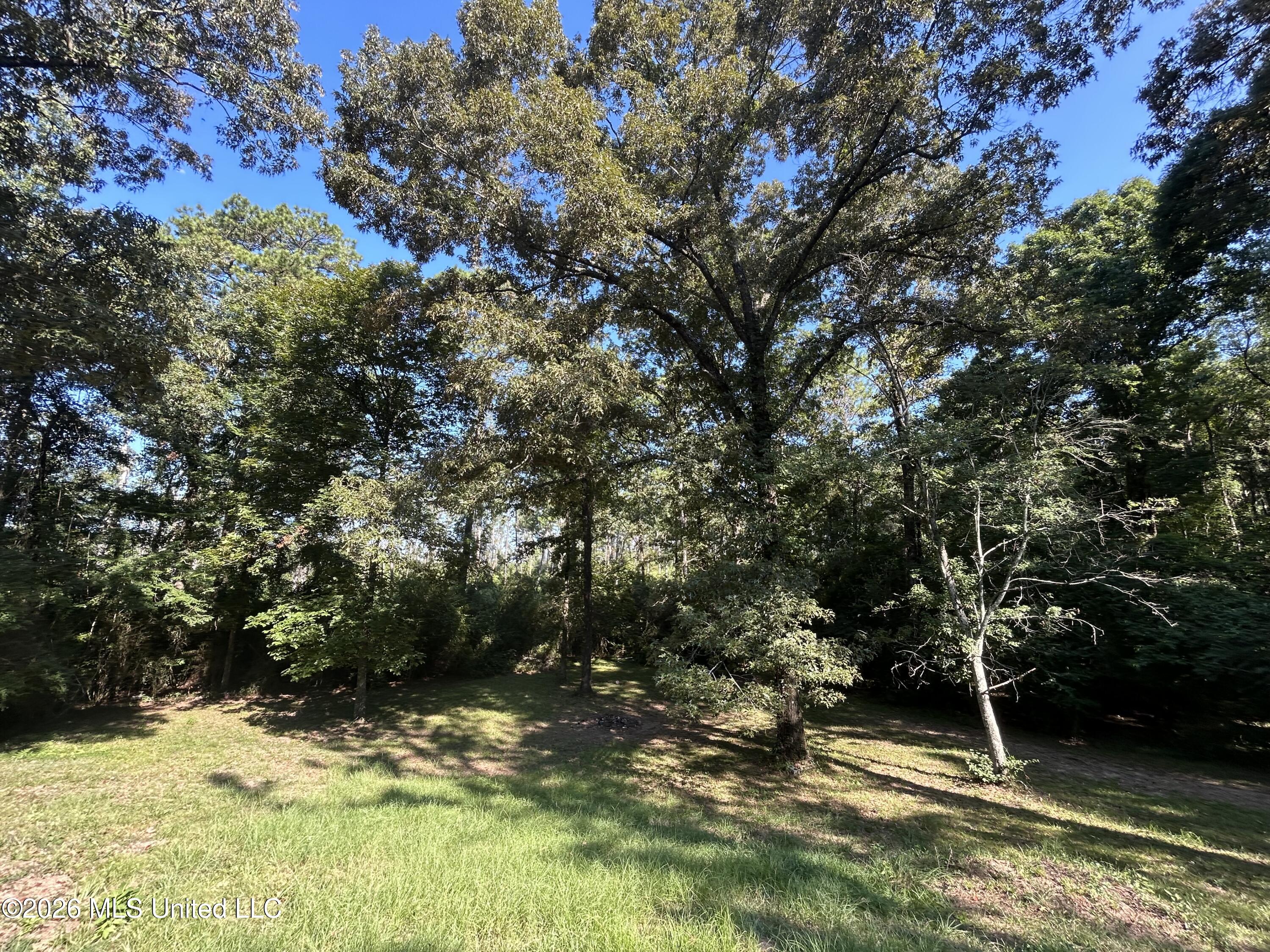 724 Mt Zion Road Mount Olive, MS 39119 - Photo 28 of 37 IMG_2598
