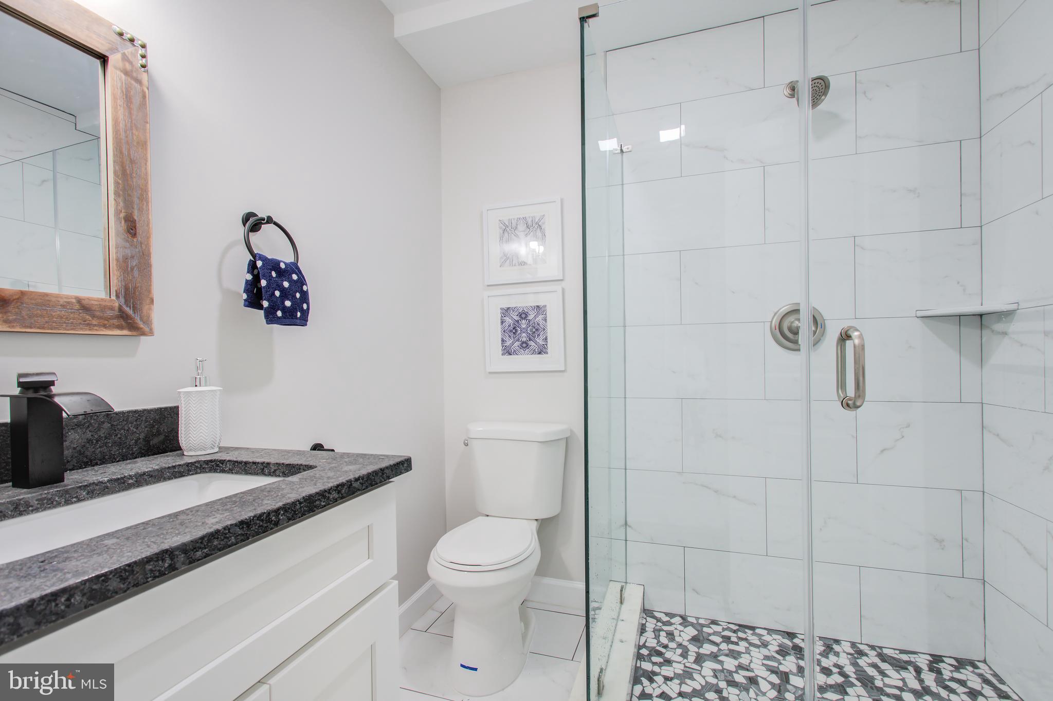 6001 Forest Road Cheverly, MD 20785 - Photo 15 of 35 Second master bath on main level