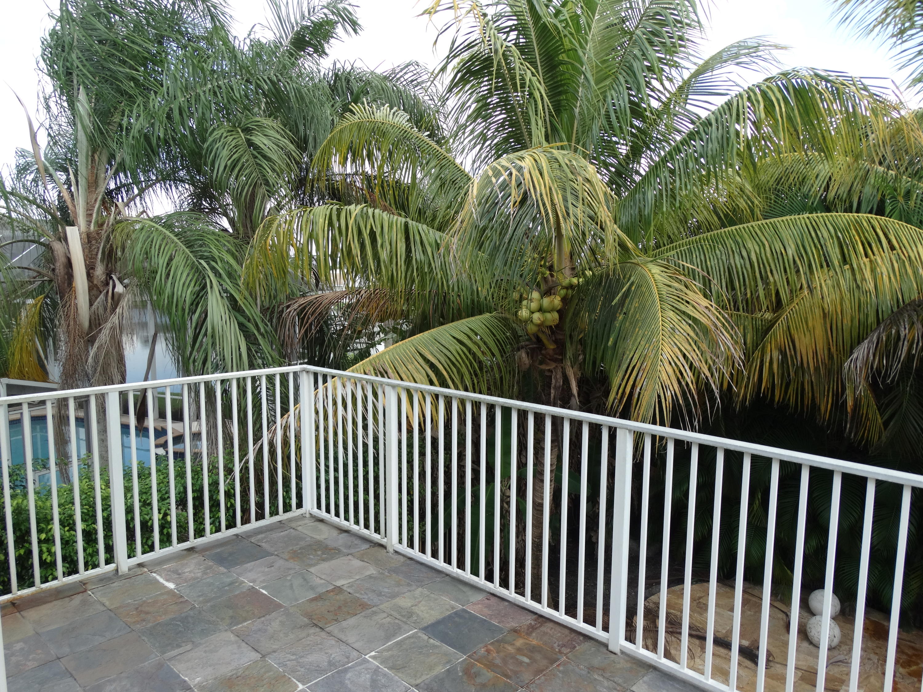 19520 Preserve Drive Boca Raton, FL 33498 - Photo 29 of 56 DSC03208