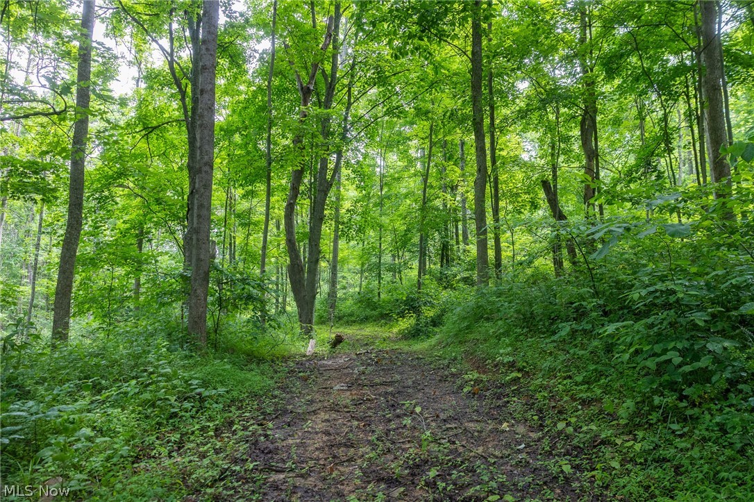 Kinnen Road Caldwell, OH 43724 - Photo 27 of 37