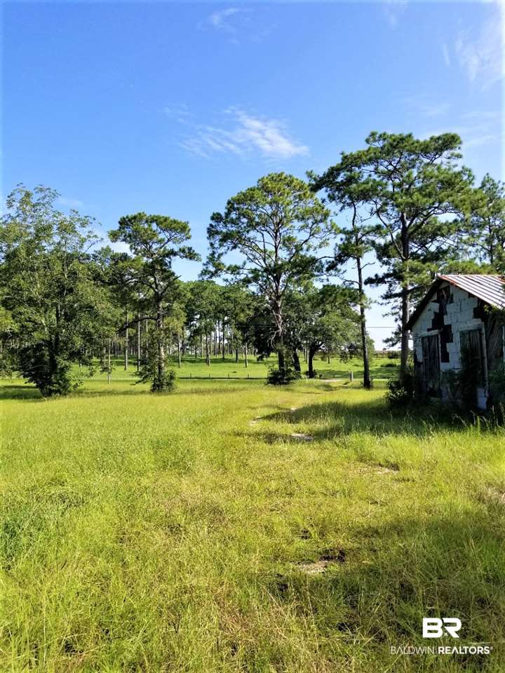 14760 County Road 64 Loxley, AL 36551 - Photo 6 of 19