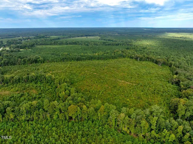 a view of a green field with lots of bushes