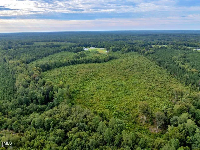 a view of a green field with lots of bushes
