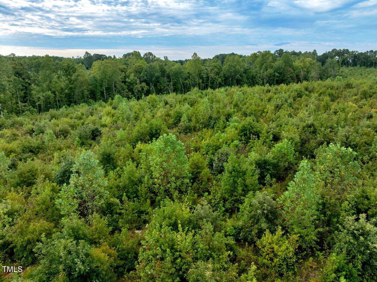 7-7a Richardson Road Warrenton, NC 27589 - Photo 5 of 12 a view of a lots of trees and bushes