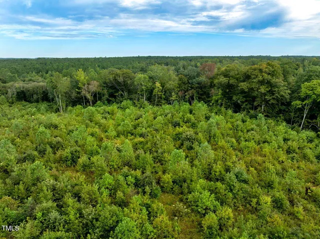 a view of a lush green field