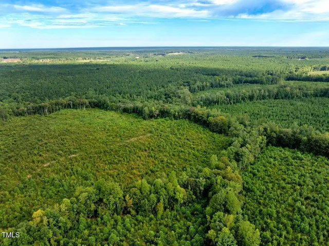 a view of a green field with lots of bushes