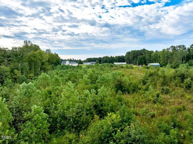 a view of a bunch of trees in a field