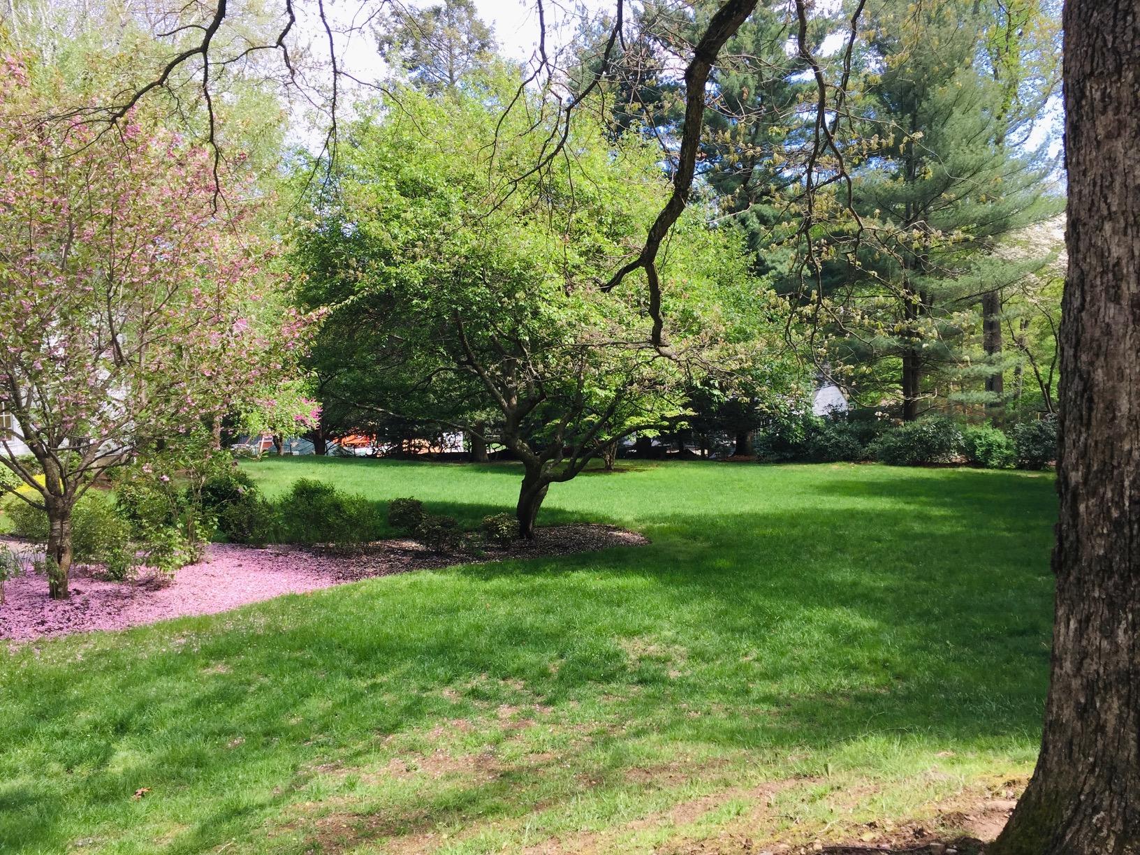 5 Watch Tower Road Darien, CT 06820 - Photo 22 of 27 a view of a park with large trees