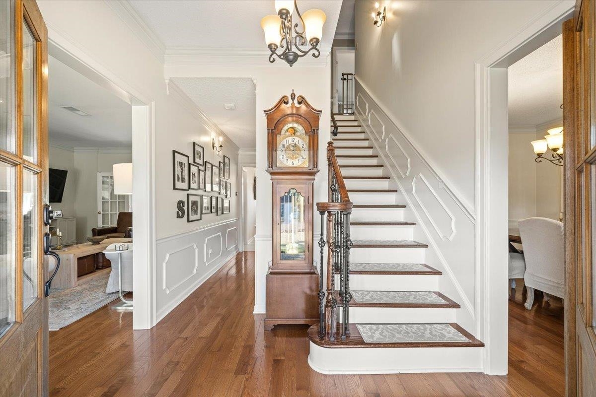 621 Fox Lair Cove Collierville, TN 38017 - Photo 6 of 37 Foyer featuring a chandelier, ornamental molding, a decorative wall, dark wood finished floors, and wainscoting