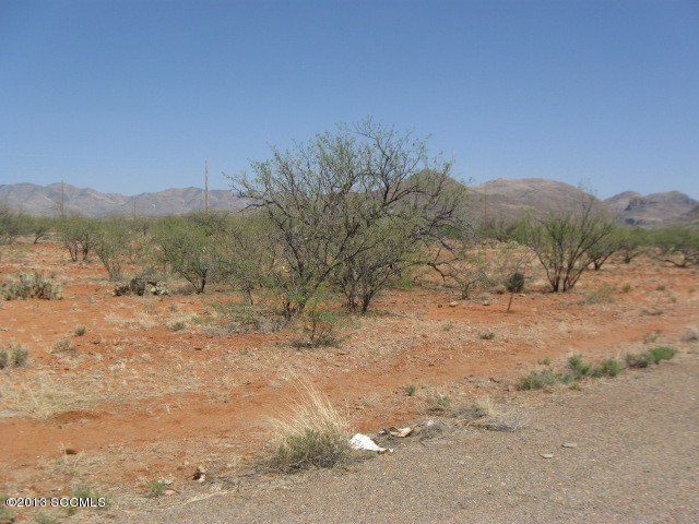 451 Via Coco Rio Rico, AZ 85648 - Photo 5 of 5